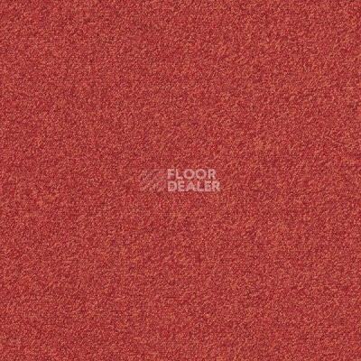 Ковровая плитка Interface Biosfera Boucle 7882 Rubino фото 1 | FLOORDEALER